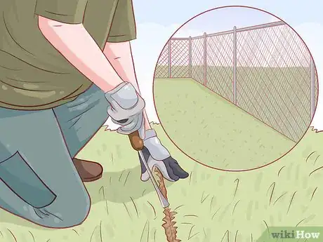 Imagen titulada Protect Chickens from Feral Animals Step 2