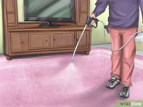 Imagen titulada Kill Fleas and Ticks on Cats Step 24