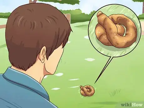 Imagen titulada Ease Your Dog's Stomach Problems Step 6