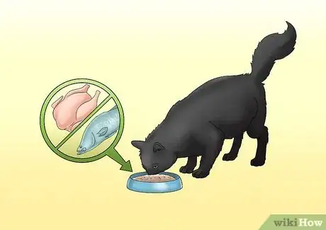 Imagen titulada Care for a Cat with Kidney Failure Step 2