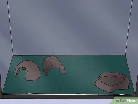 Imagen titulada Care for a Leopard Gecko Step 6