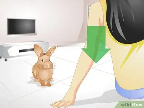 Imagen titulada Tell if Your Rabbit Is Lonely Step 9