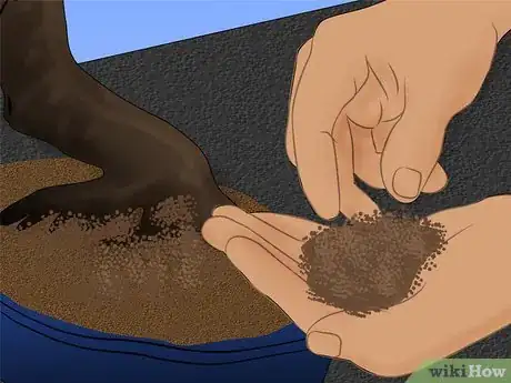 Imagen titulada Care for a Chinese Elm Bonsai Tree Step 5