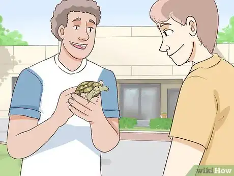 Imagen titulada Take Care of a Russian Tortoise Step 7