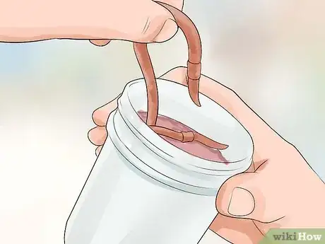 Imagen titulada Find Worms Step 6