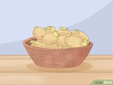 Imagen titulada Grow Potatoes Indoors Step 1