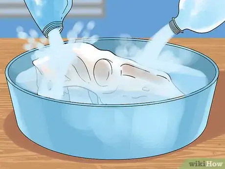 Imagen titulada Preserve a Skull Step 5