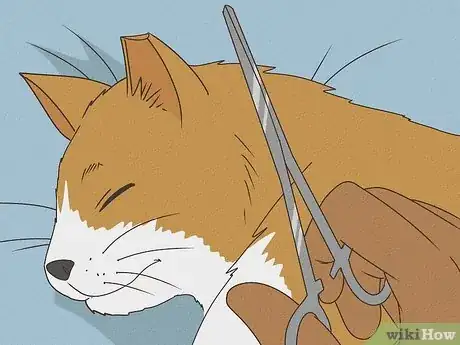 Imagen titulada Handle a Stray Cat Step 20