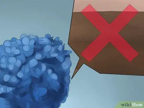 Imagen titulada Keep Blue Hydrangeas Blue Step 11