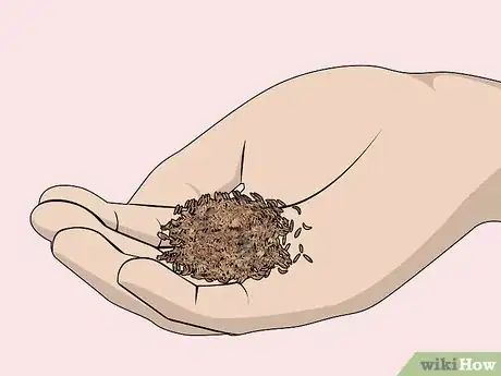 Imagen titulada Roll a Filter Cigarette by Hand That Requires Little Effort Step 2