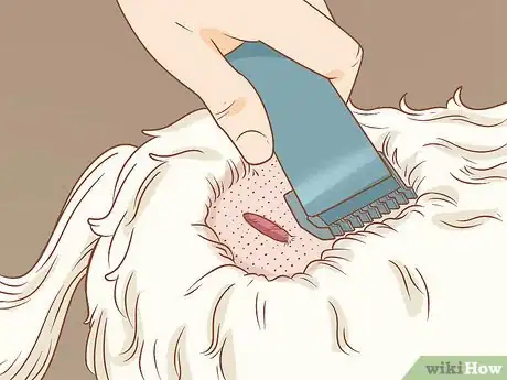 Imagen titulada Remove a Dog’s Skin Tags at Home Step 2