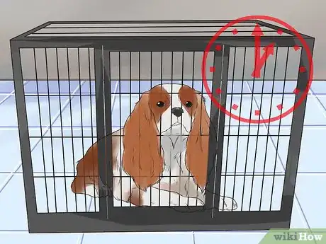 Imagen titulada Train Cavalier King Charles Spaniels Step 9