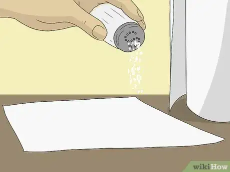 Imagen titulada Clean an Iron with Salt Step 2