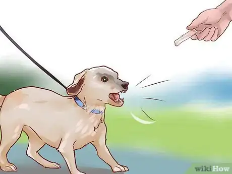 Imagen titulada Train a Guard Dog Step 7