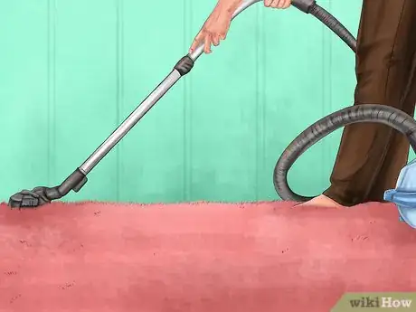Imagen titulada Kill Fleas and Ticks on Cats Step 20