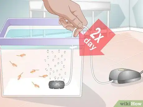 Imagen titulada Care for Sea Monkeys Step 8