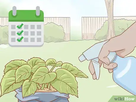 Imagen titulada Get Rid of Powdery Mildew on Plants Step 8