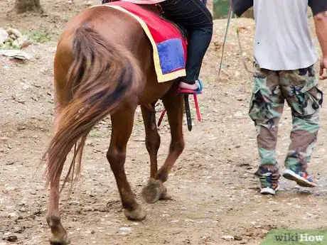 Imagen titulada Be Careful Around a Horse Step 5