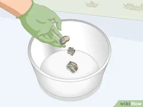 Imagen titulada Extract Gold from a Rock Step 2