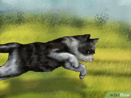 Imagen titulada Help a Cat Recover from Anesthesia Step 7