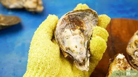 Imagen titulada Clean Oysters Step 5