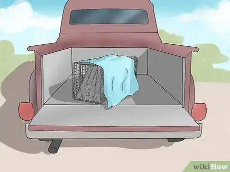 Imagen titulada Trap a Groundhog Step 11