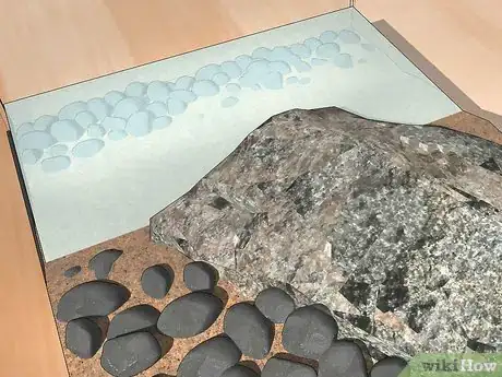 Imagen titulada Look After a Turtle Step 4