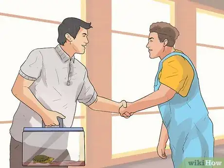 Imagen titulada Take Care of a Land Turtle Step 7
