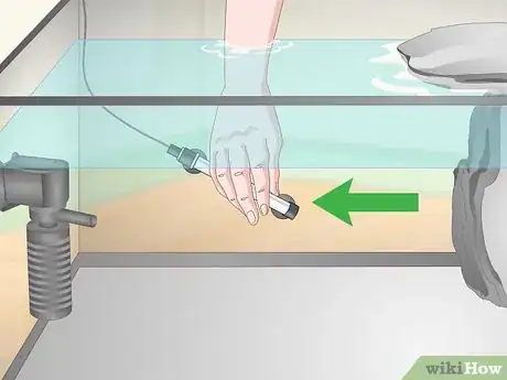 Imagen titulada Take Care of Mini Pet Turtles Step 6