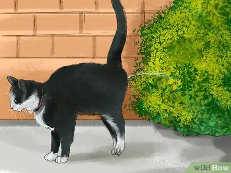 Imagen titulada Retrain a Cat to Use the Litter Box Step 12