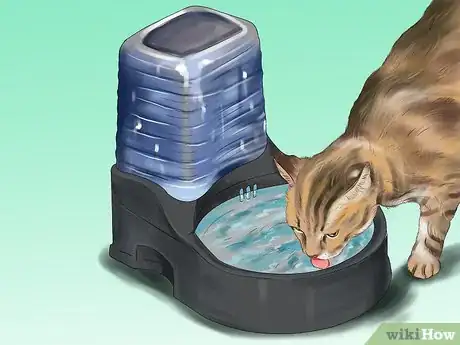 Imagen titulada Deal with Irritability in Older Cats Step 7