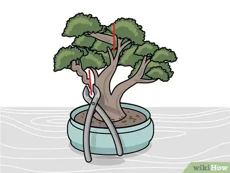 Imagen titulada Prune a Bonsai Tree Step 6