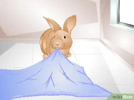 Imagen titulada Tell if Your Rabbit Is Lonely Step 3