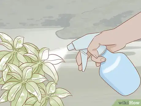 Imagen titulada Get Rid of Powdery Mildew on Plants Step 6