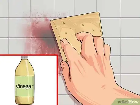 Imagen titulada Clean Blood from Walls Step 15