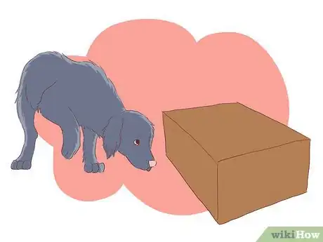 Imagen titulada Help Your Dog Deal with the Death of Another Dog Step 1