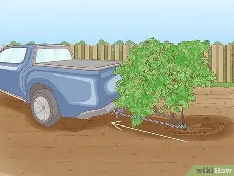 Imagen titulada Remove Bushes Step 5