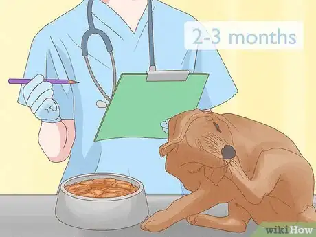Imagen titulada Diagnose and Treat Your Dog's Itchy Skin Problems Step 25