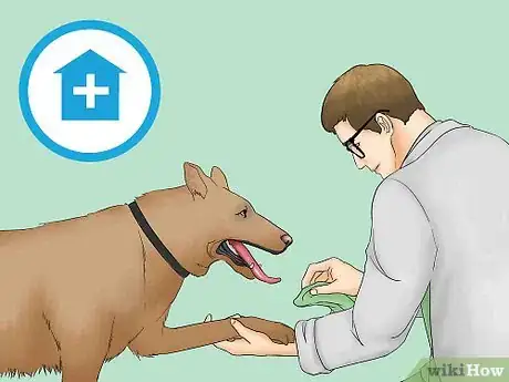 Imagen titulada Remove Chewing Gum from a Dog's Hair Step 16