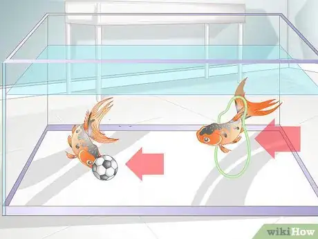 Imagen titulada Play With a Goldfish Step 7
