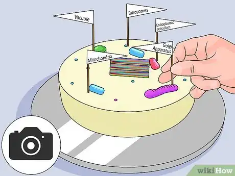 Imagen titulada Make a Model Cell Step 15