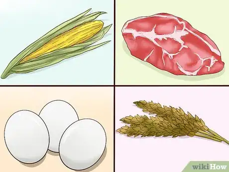 Imagen titulada Ease Your Dog's Stomach Problems Step 8