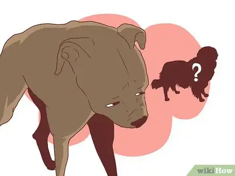 Imagen titulada Help Your Dog Deal with the Death of Another Dog Step 6