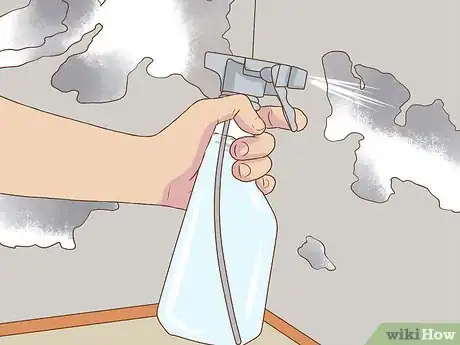 Imagen titulada Clean White Mold Step 10