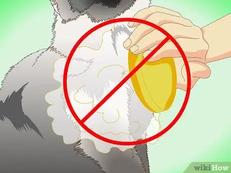 Imagen titulada Get Rid of Dry Skin on Cats Step 4