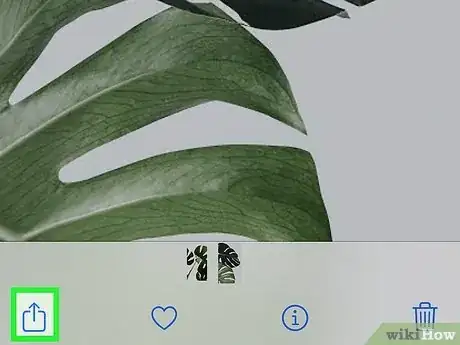 Imagen titulada Send Files via Bluetooth on iPhone Step 8