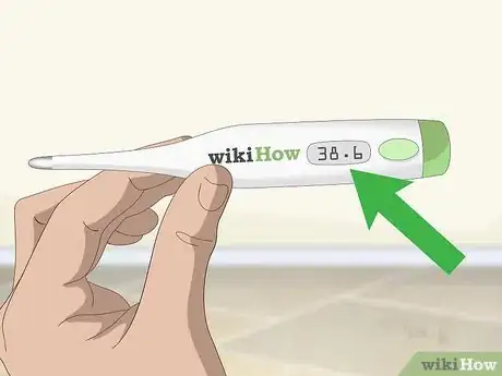Imagen titulada Measure a Dog's Temperature Step 6