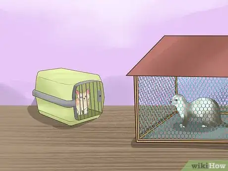 Imagen titulada Keep Ferrets in a Home with Other Pets Step 15