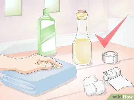 Imagen titulada Treat Mice With Penile Prolapse Step 4