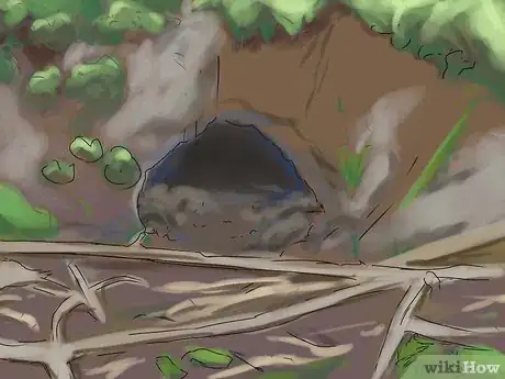 Imagen titulada Trap a Groundhog Step 3